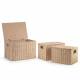 Woodluv 3 x Hand-woven Lidded Paper Rope Storage Trunk Set, Khaki
