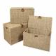 Woodluv Handwoven Set of 3 Natural Seagrass Storage Trunk