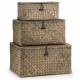 Woodluv Set of 3 Seagrass Shelf Storage Baskets With Lid, Green