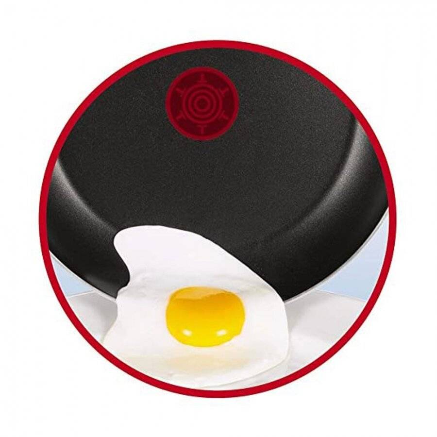 Tefal Delicious 28 cm Stainless Steel Non-stick Induction Wok Pan