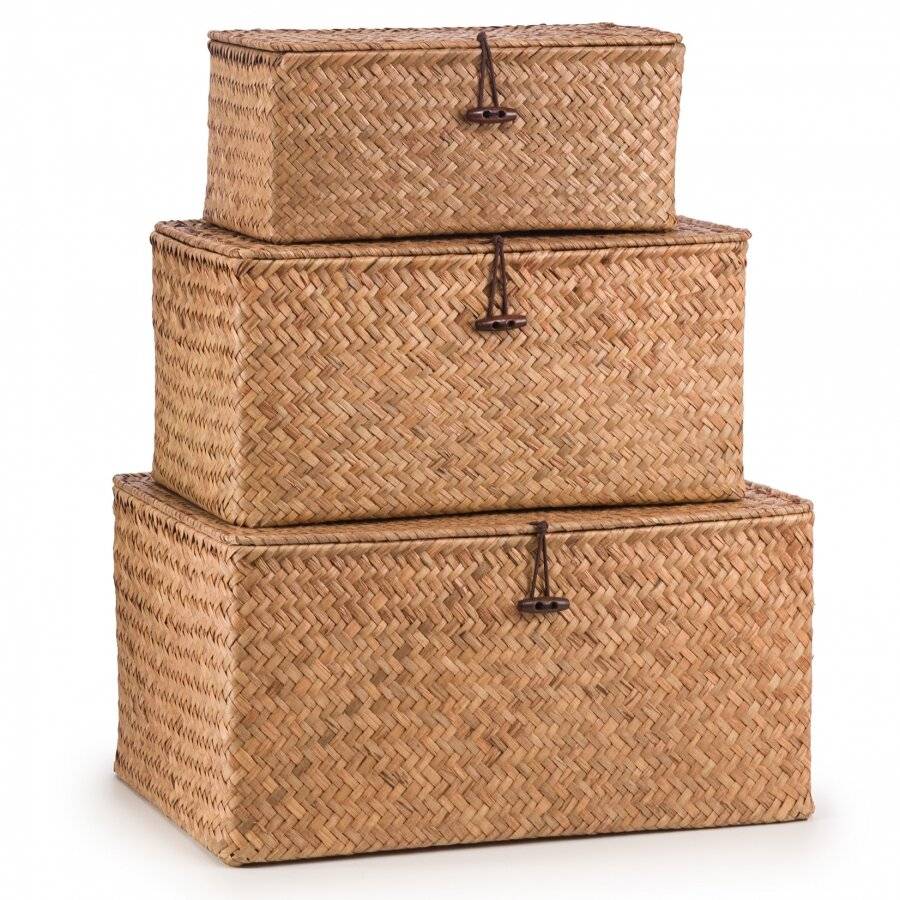 Woodluv Set of 3 Seagrass Shelf Storage Baskets With Lid, Brown