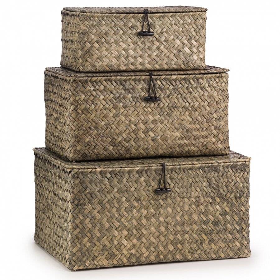 Woodluv Set of 3 Seagrass Shelf Storage Baskets With Lid, Green