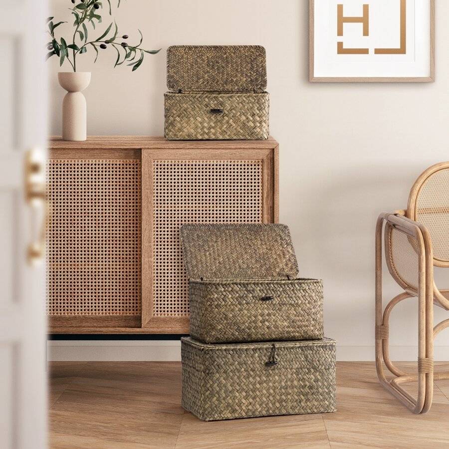 Woodluv Set of 3 Seagrass Shelf Storage Baskets With Lid, Green